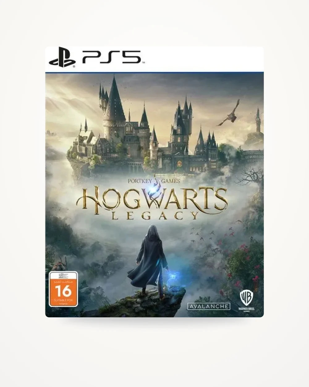 Hogwarts Legacy PlayStation 5